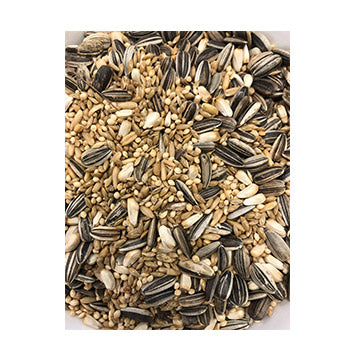 Premium Small Parrot 20kg