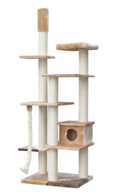 Cattitude Cat Scratch Playground Theme Park Jumbo
