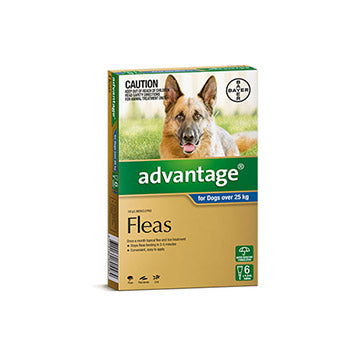 Advantage Dog Xl Royal Blue Over 25kg 6 Pk