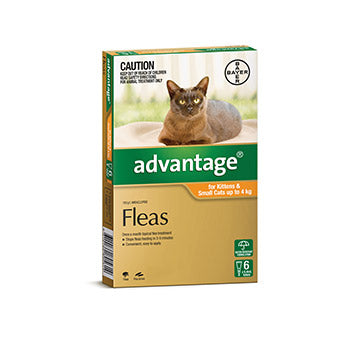 Advantage Kittens/cats Up To 4kg 6 Pack 