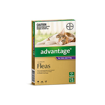 Advantage Cat Over 4kg 6 Pack 