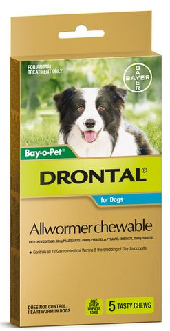 Drontal Allwormer 5pk Chewable