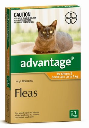 Advantage Cat Up To 4kg 1pk