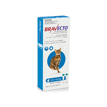 Bravecto Plus Cat 2.8 - 6.25 Kg
