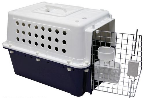 Pet One Pet Carrier Pp20