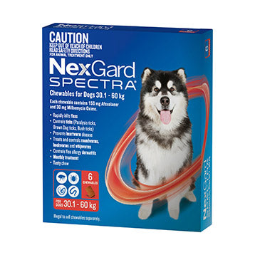 Nexgard Spectra 30.1kg - 60kg 6 Pack
