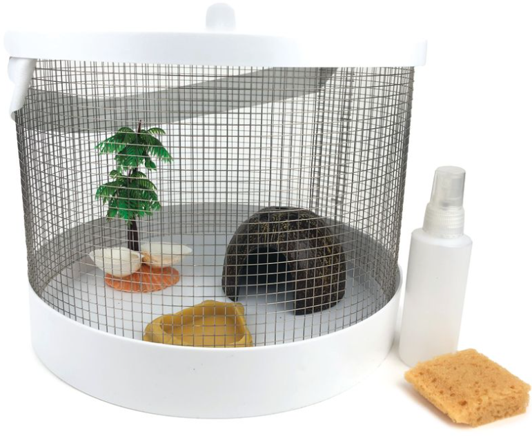 Hermit Crab Habitat
