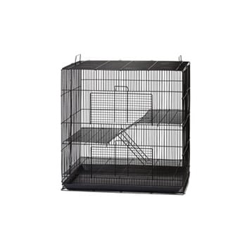 white rat cage