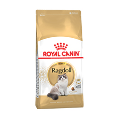 ROYAL CANIN RAGDOLL