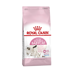 ROYAL CANIN MOTHER AND BABY CAT