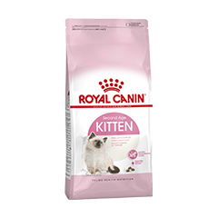 royal canin kitten