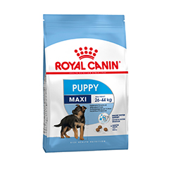 royal canin maxi puppy