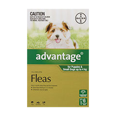 ADVANTAGE UP TO 4KG 6PK OPT