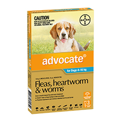advocate 4-10kg 3pck x 1