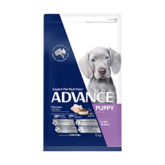 ADVANCE PUPPY LARGE BREED 15KG