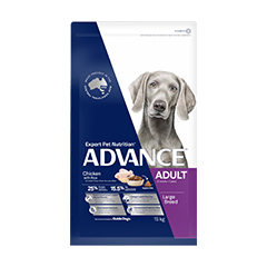 advance large breed chicken 15kg