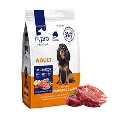 HYPRO KANG & LAMB