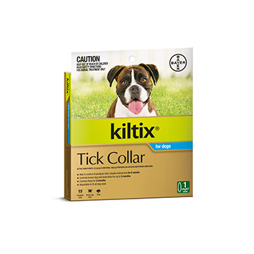 Bayer best sale kiltix collar