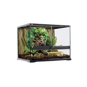 EXO TERRA TERRARIUM MEDIUM LOW