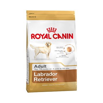 ROYAL CANIN LABRADOR ADULT 12KG