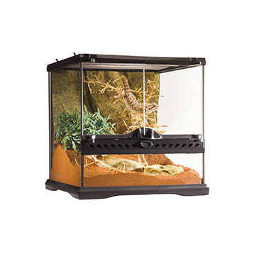Exo Terra Terrarium Mini Wide Exo Terra Terrarium Mini Wide