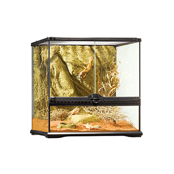 Exo Terra Terrarium Small Wide 45x45x45cm Exo Terra Terrarium Small Wide 45x45x45cm