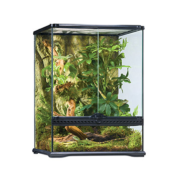 Exo Terra Terrarium Small Tall 45x45x60cm Exo Terra Terrarium Small Tall 45x45x60cm