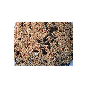 Triangle Small Parrot 20kg