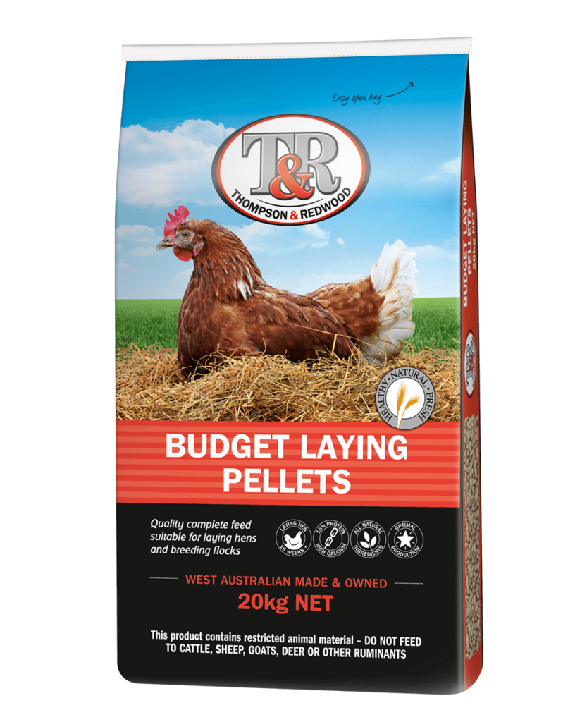 Single Budget Layer 20kg Single Budget Layer 20kg