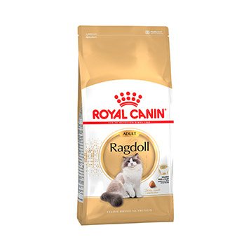 Royal Canin Ragdoll 2kg