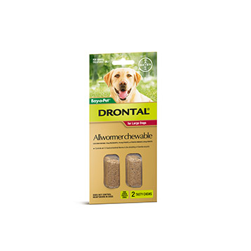 Drontal Allwormer Large Dog 2 Pack