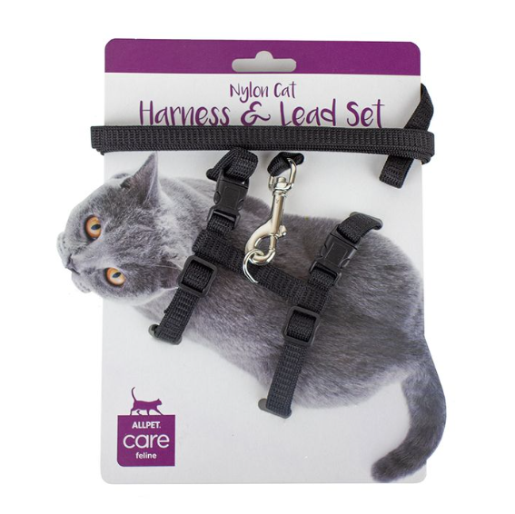 Black Harness And Lead Set Black Harness And Lead Set