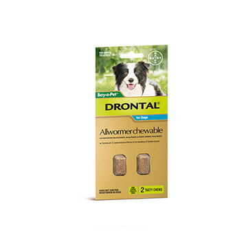 Drontal Allwormer Chewable 2 Pack Drontal Allwormer Chewable 2 Pack