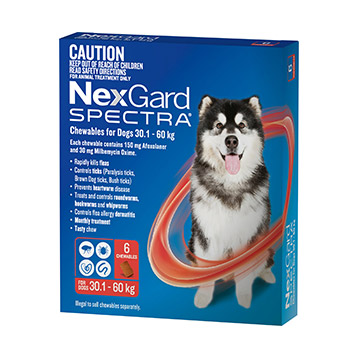 Nexgard Spectra 30.1kg - 60kg 6 Pack Nexgard Spectra 30.1kg - 60kg 6 Pack
